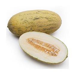 خربزه افغانی